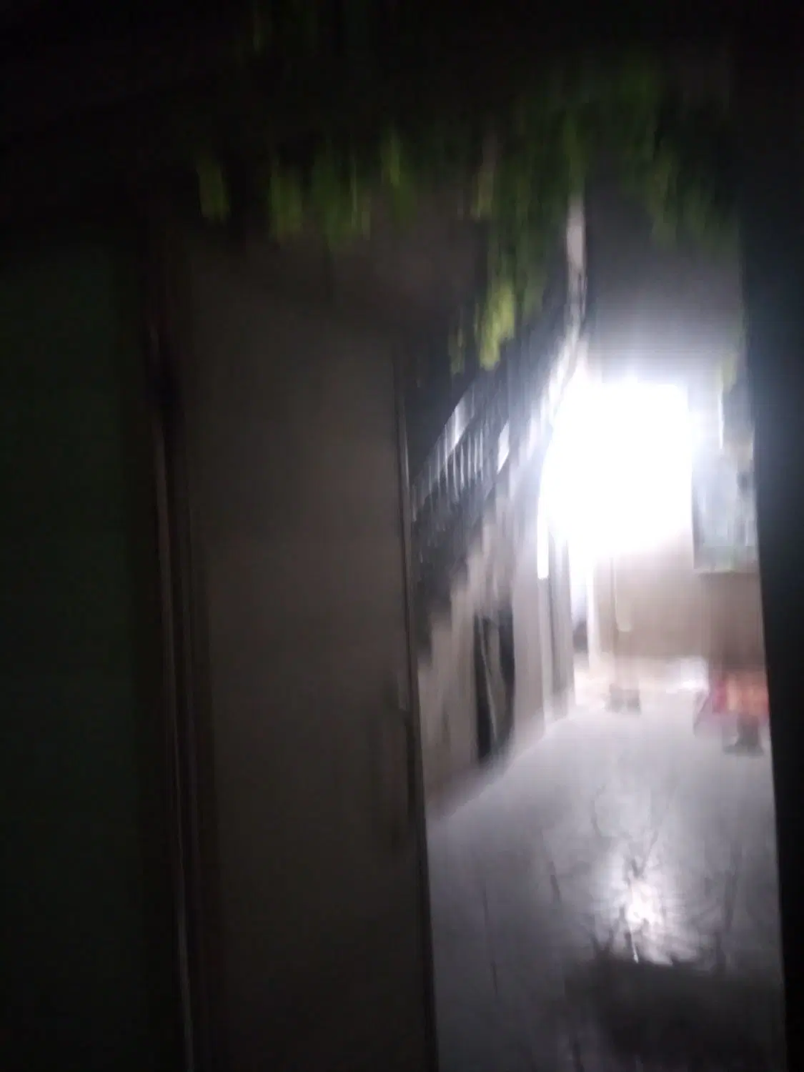 اجاره خانه ویلایی در شهرآرا