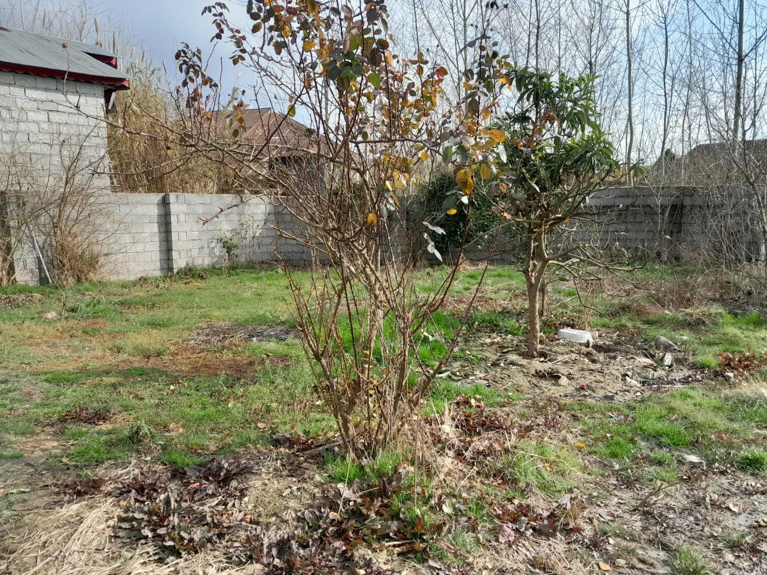 زمینی به مساحت ۱۵۳ متر