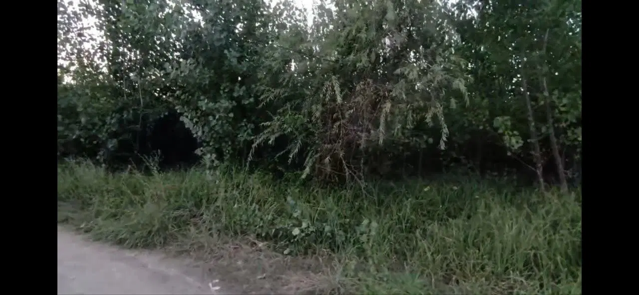 ۲۶۰ متر زمین ویلایی