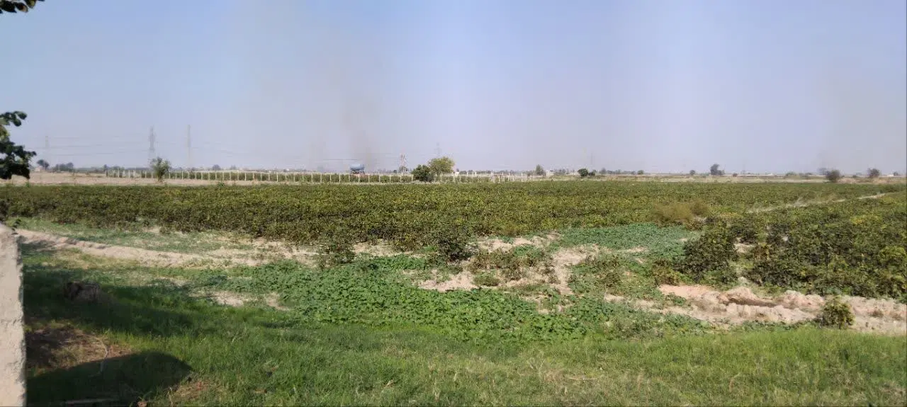 زمین ۵۰۰ متر چابکسر