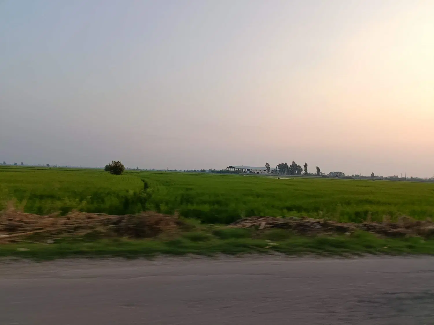 فروش زمین کشاورزی