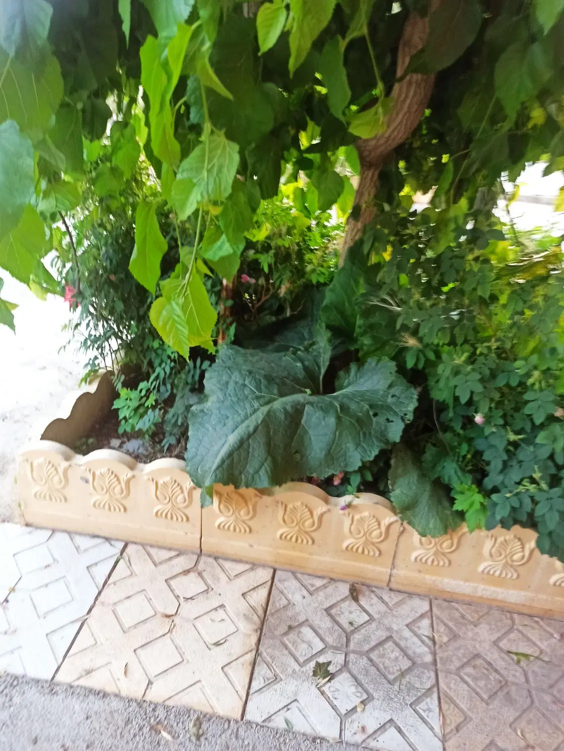 ویلایی
