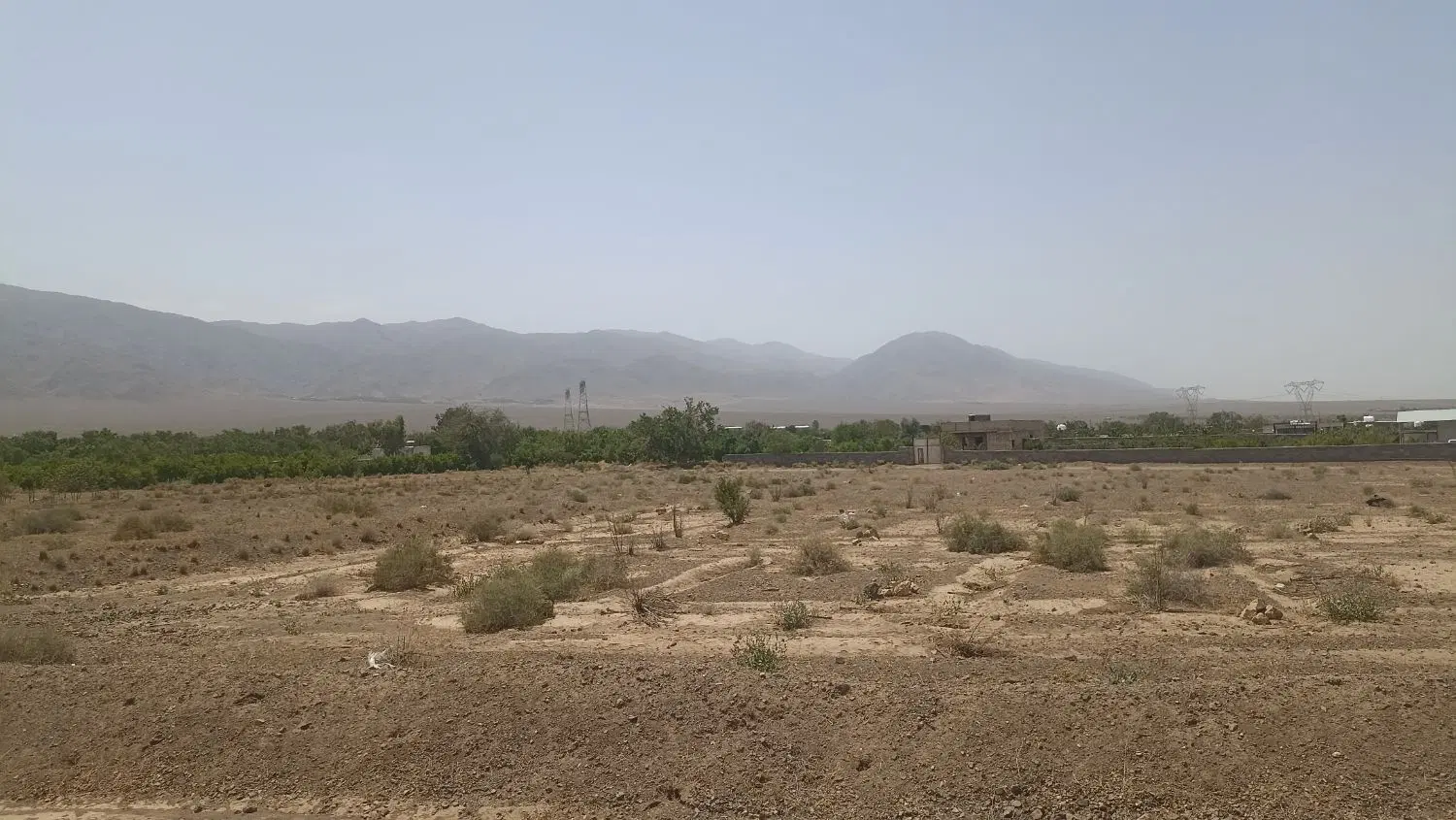 سی هزارمتر اجاره زمین کشاورزی