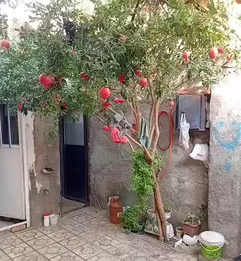 منزل مسکونی فروش میرسد قیمت  راه میام  عجله دارم
