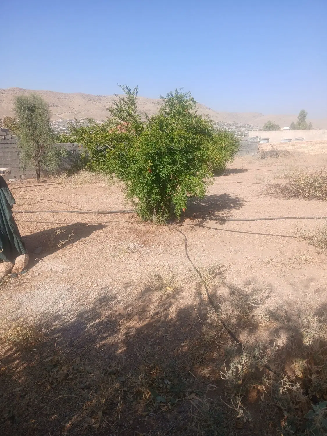 باغ شهری خالدآباد