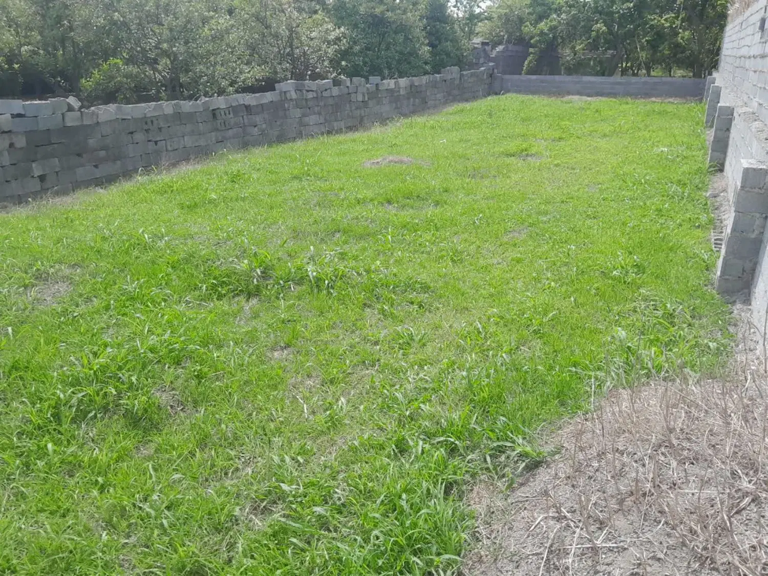 زمین ۲۰۰ متری تازه‌آباد بابلسر