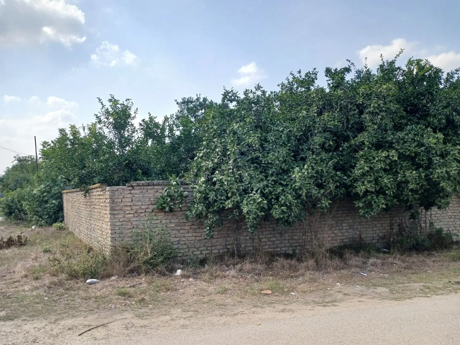 فروش زمین خانه سرا