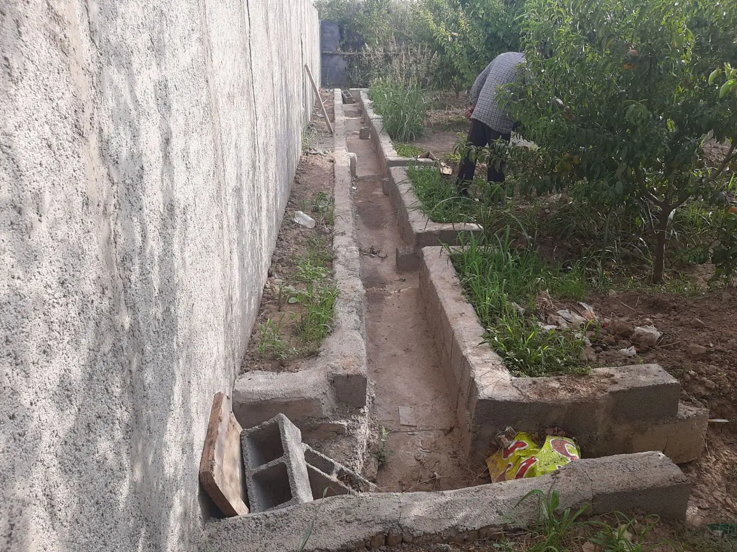 باغچه خیابان دوم پیشک یک