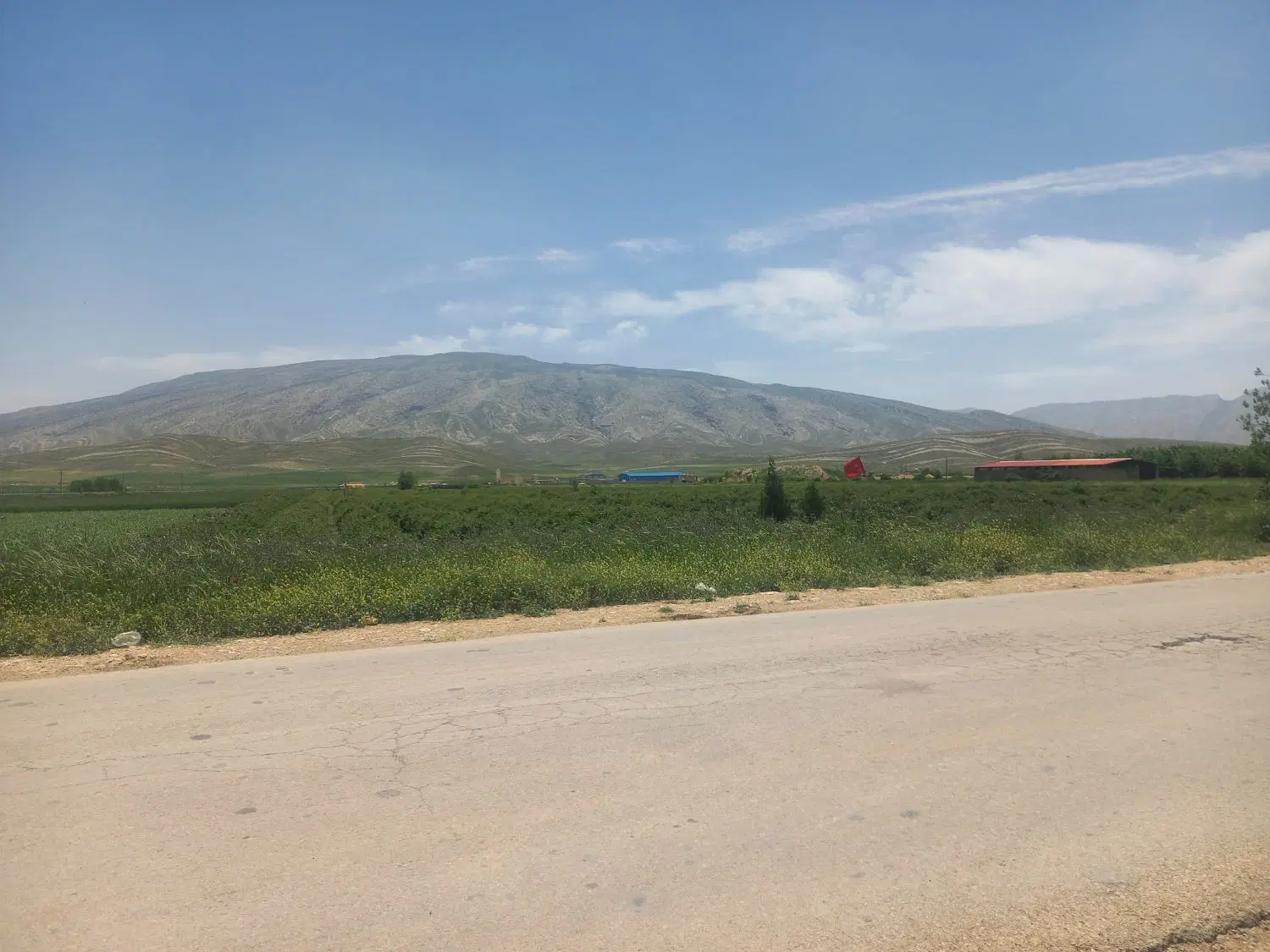 فروش زمین کشاورزی جهت باغ شهری
