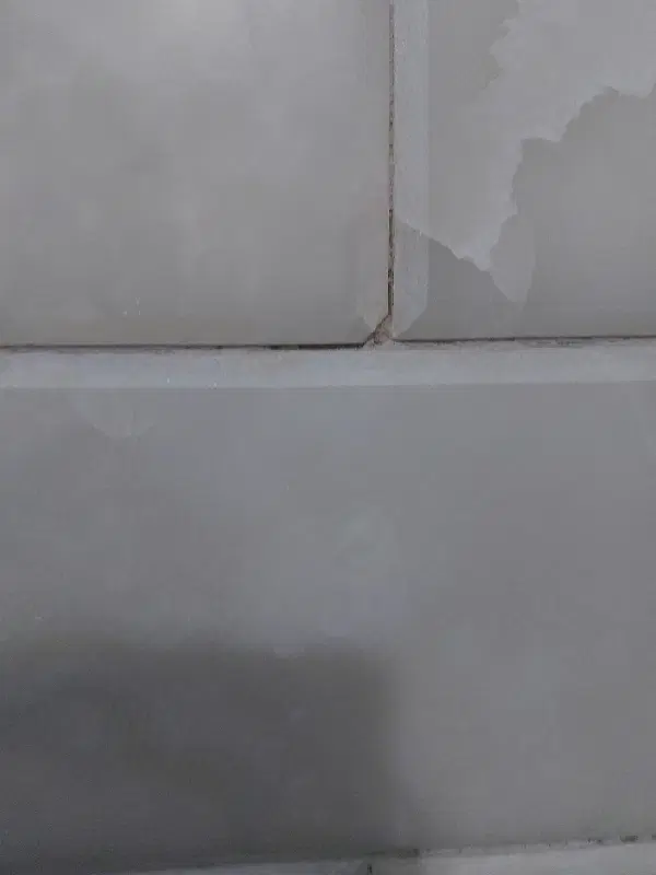 اجاره مغازه بهاران 171