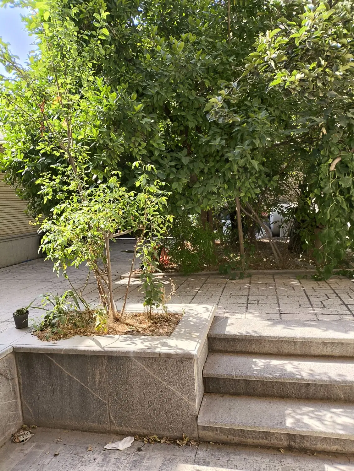 ۱۲۸ متر خیابان جهاد