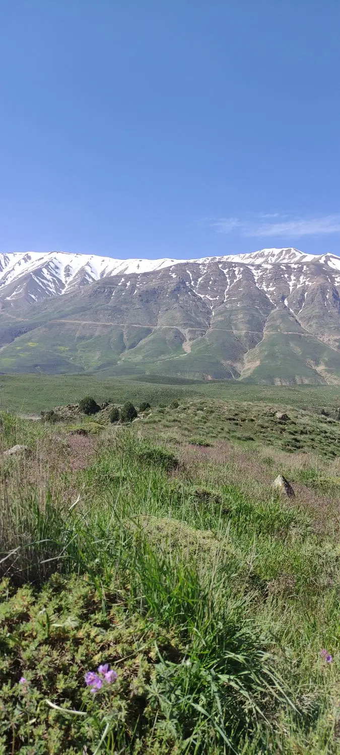 فروش زمین کشاورزی آبی در روستای فش