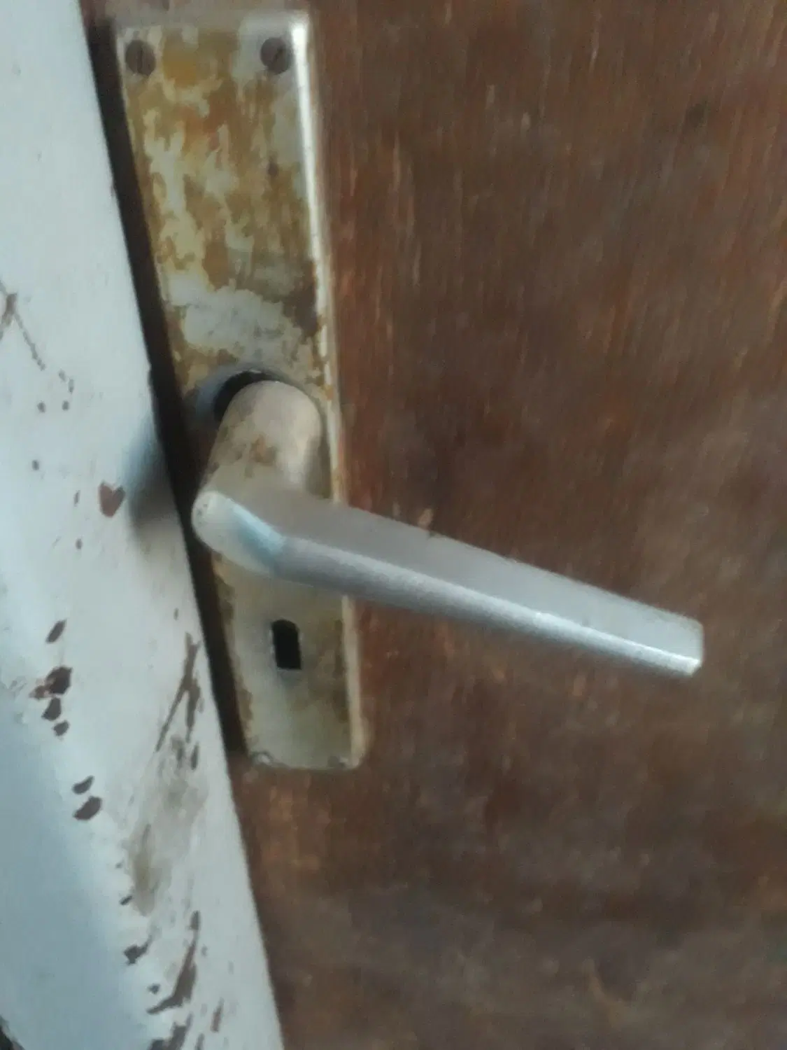 دنبال همخونه هستم خانه داشته باشه