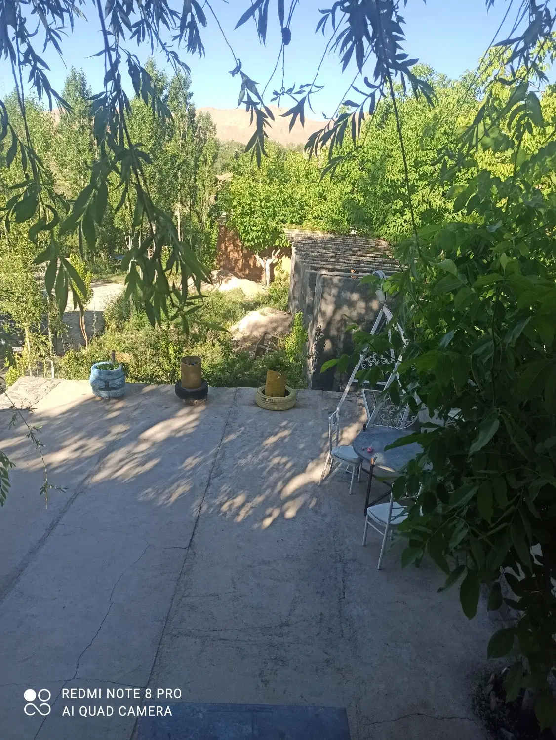 سوئیت باغ امیران