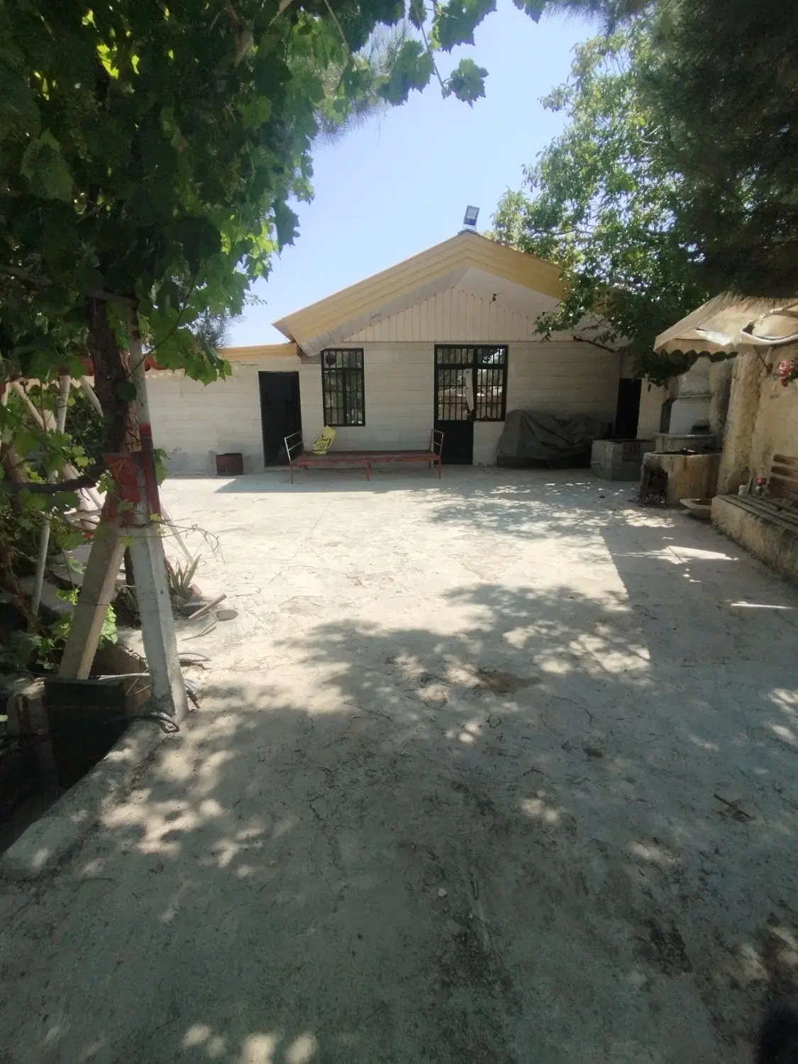 انگور بارده سند دیوار کشی 9هزار متر تازکند(عمارت)
