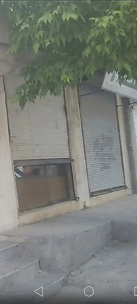 مغازه