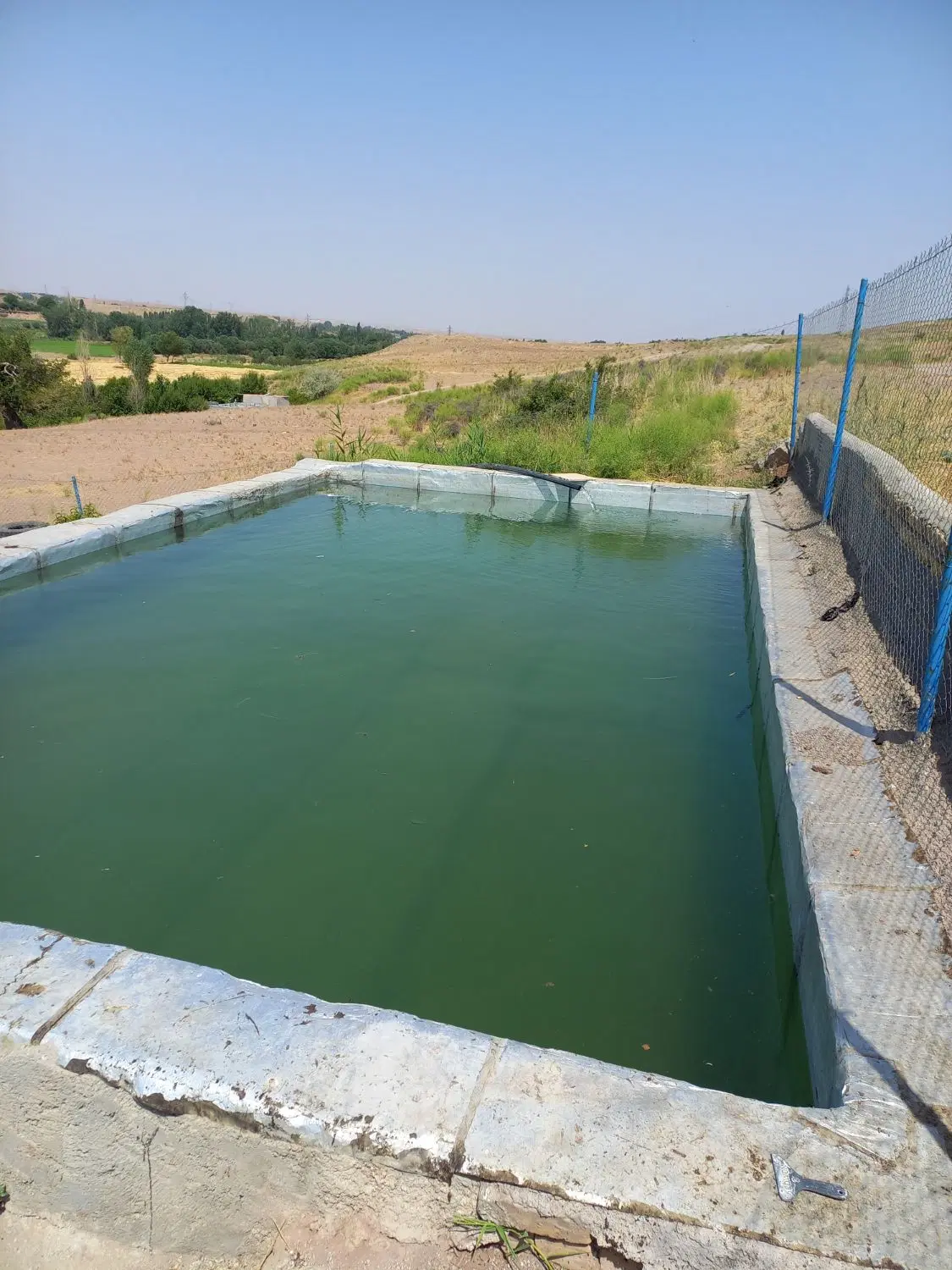 باغ در ینگجه