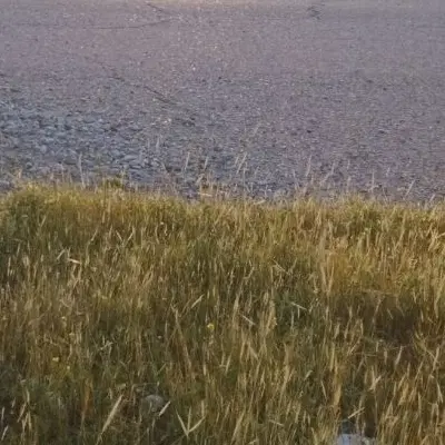 زمین ۲۵ متری شهرک دوکوهه