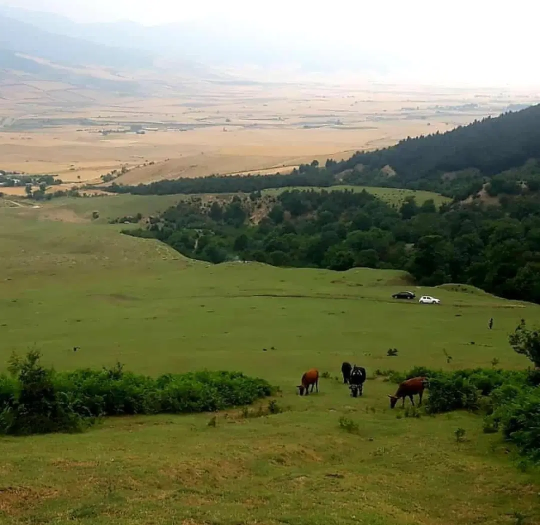 زمین ویلایی روستایی