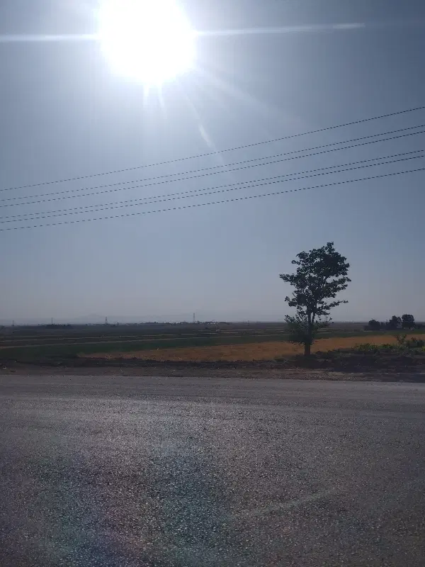 زمین 3دانگ گلستان سند تک برگ