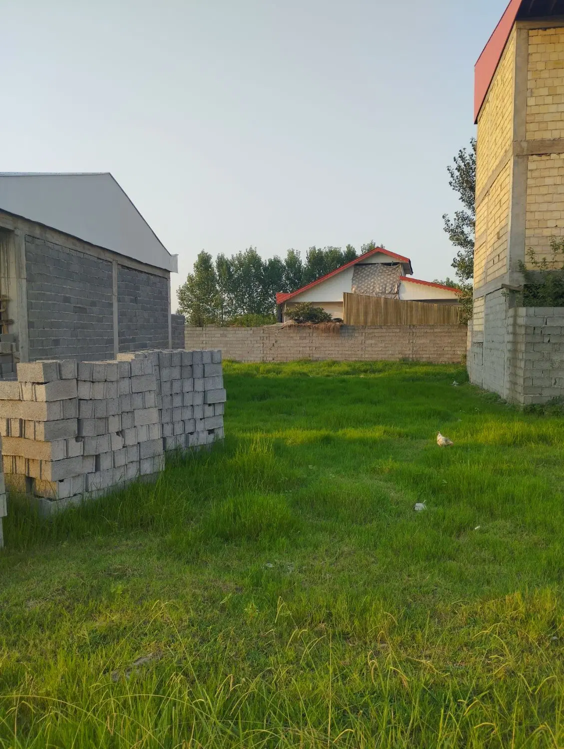 فروش زمین زراعی
