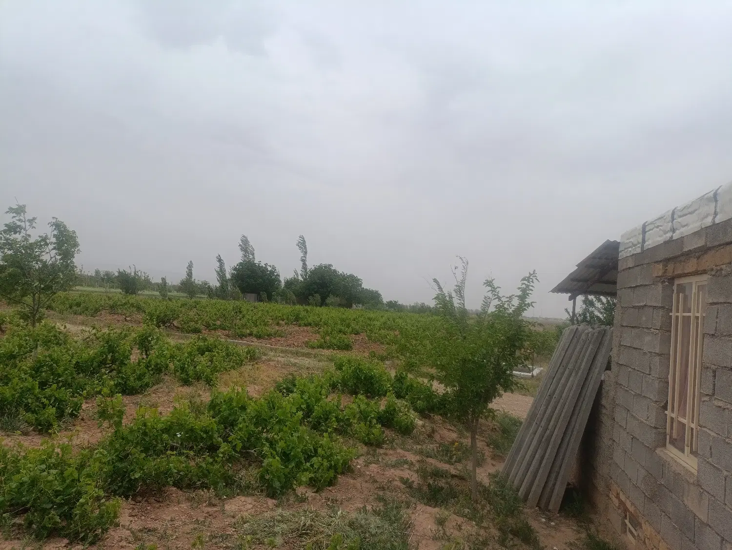 باغ ویلایی 15000متر