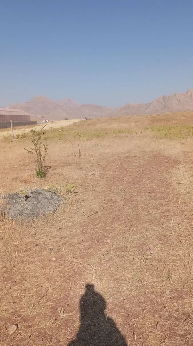 زمین کشاورزی