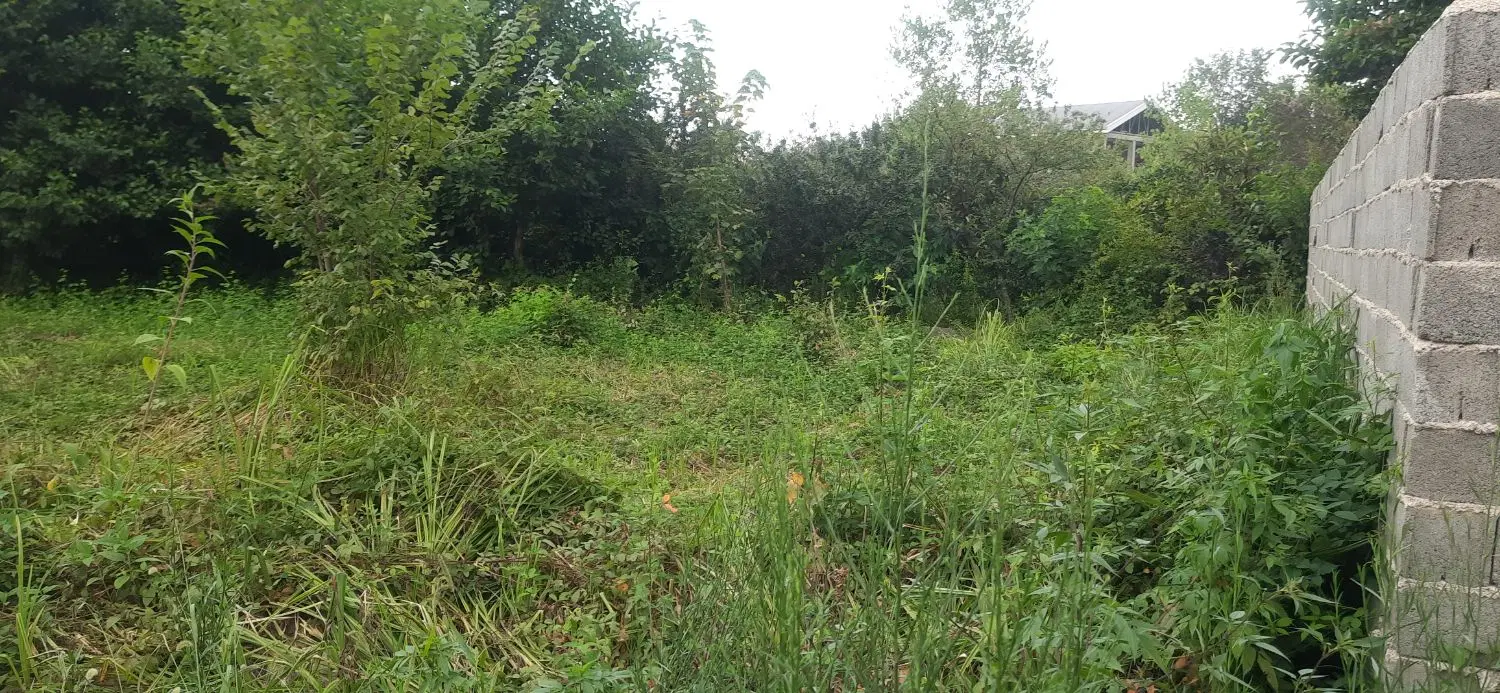 زمین با کاربری مسکونی در سالکویه