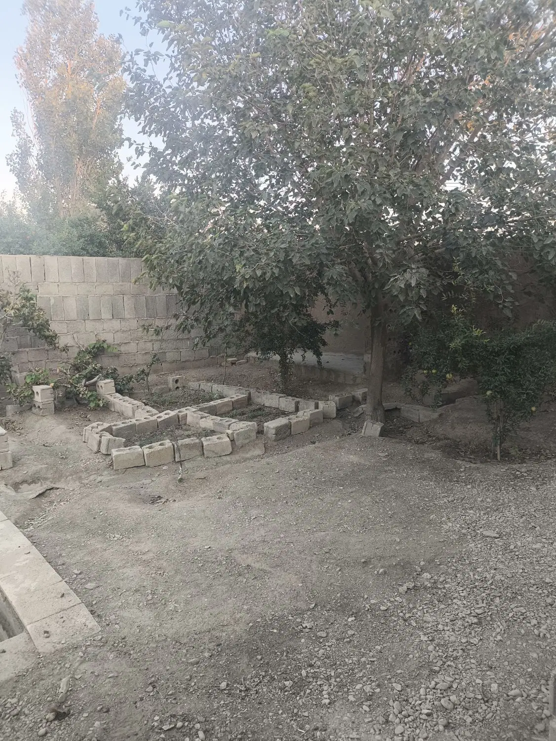 فروش باغ نقلی
