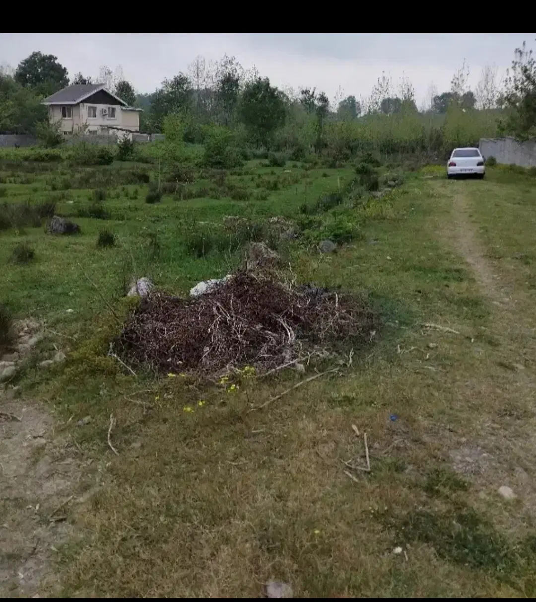 زمین 1000متری بهترین لوکیشن روستای چماچا