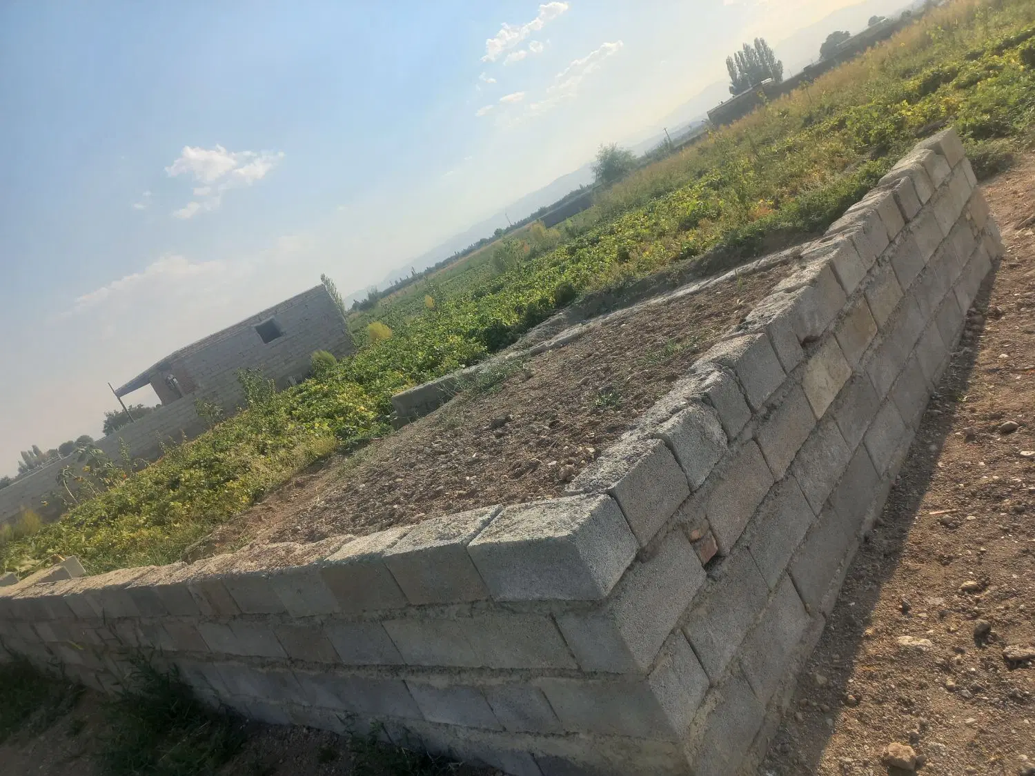 ۱۲۰۰متر دونبش زمین زراعی دارای اب برق شناور
