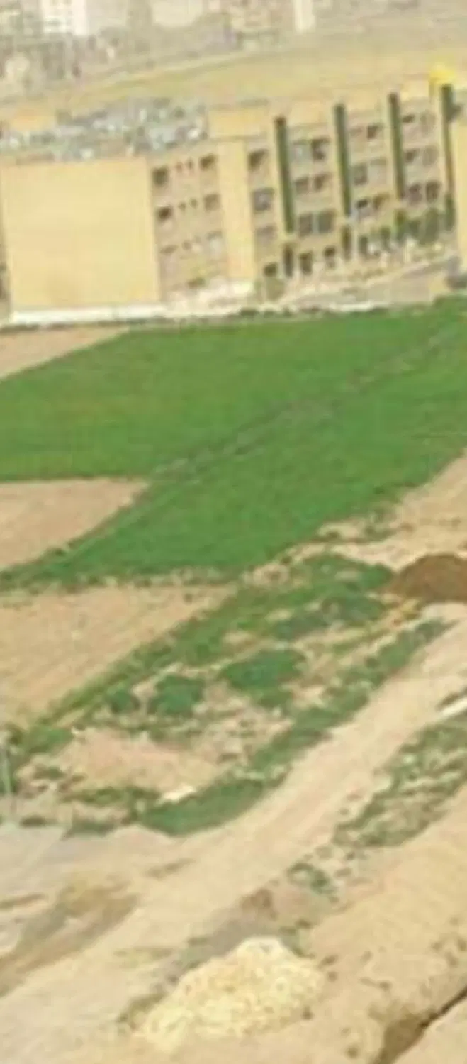 زمین زراعی آخر سعدی طریقت داخل محدوده