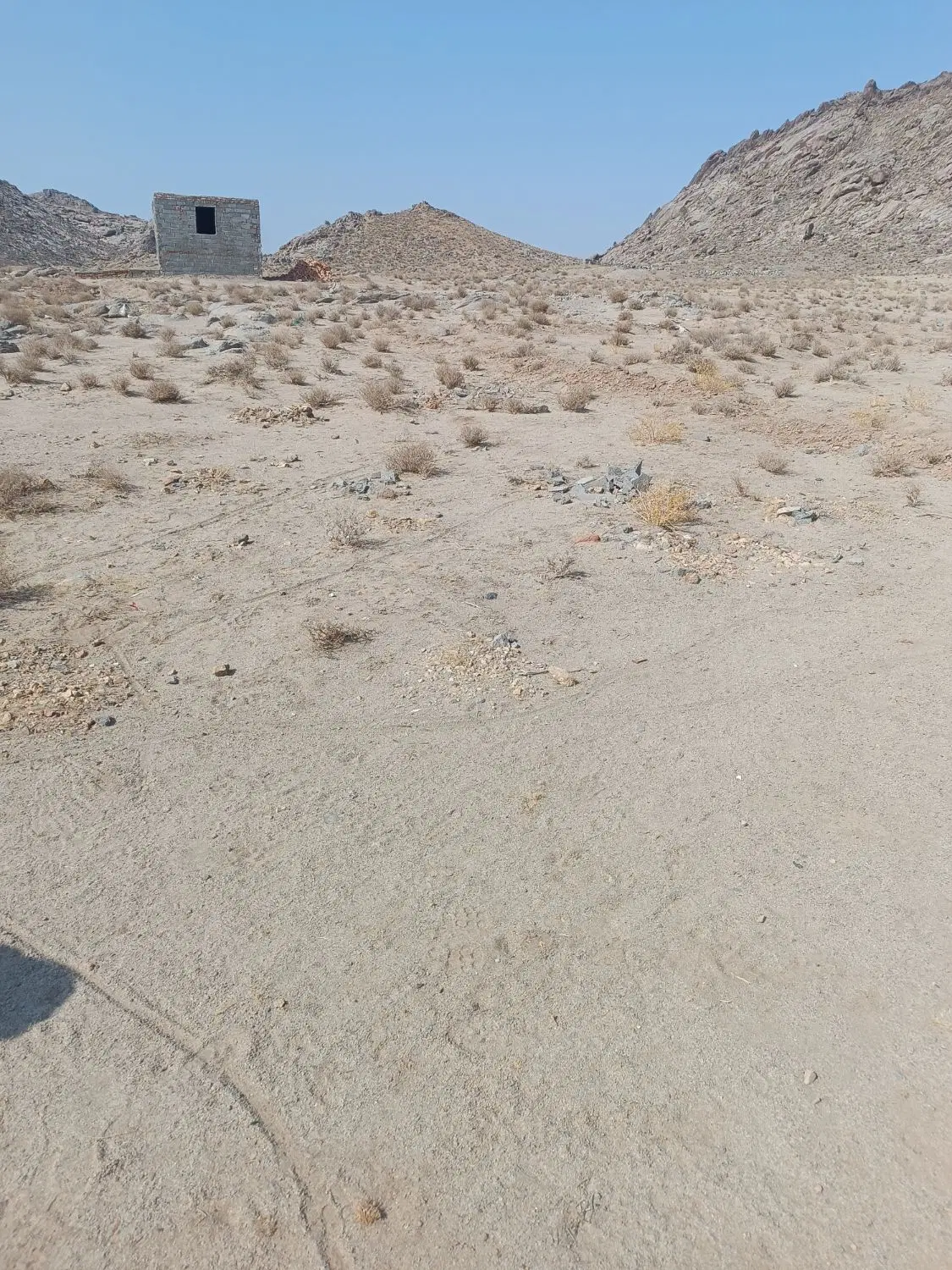 زمین