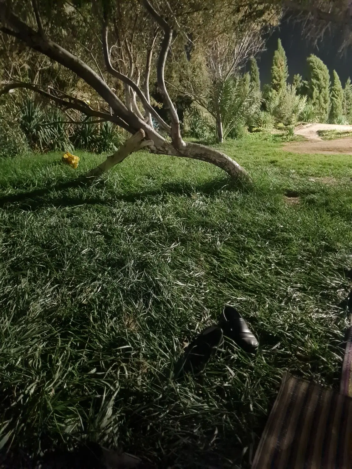 زمین مسگونی تامین اجتماعی