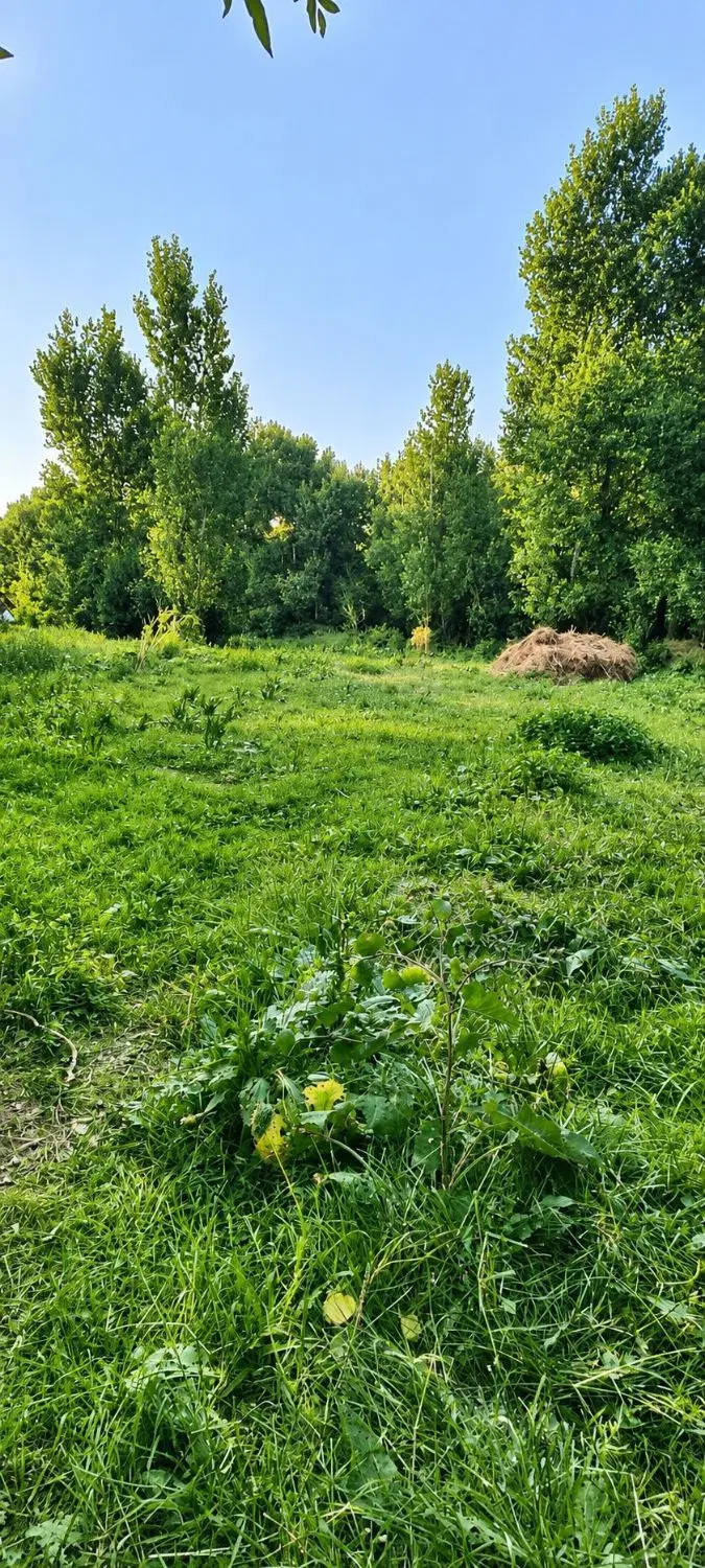 فروش زمین ویلای