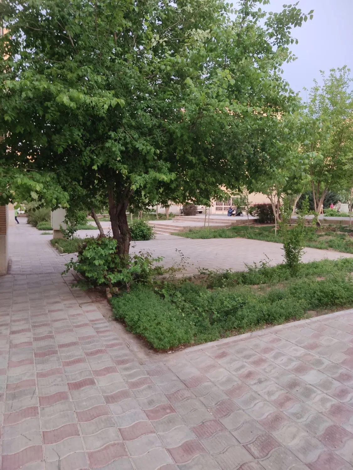 فیش پرنیان