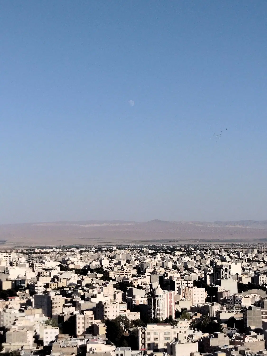 ۷۵متری تک خواب بهارستان