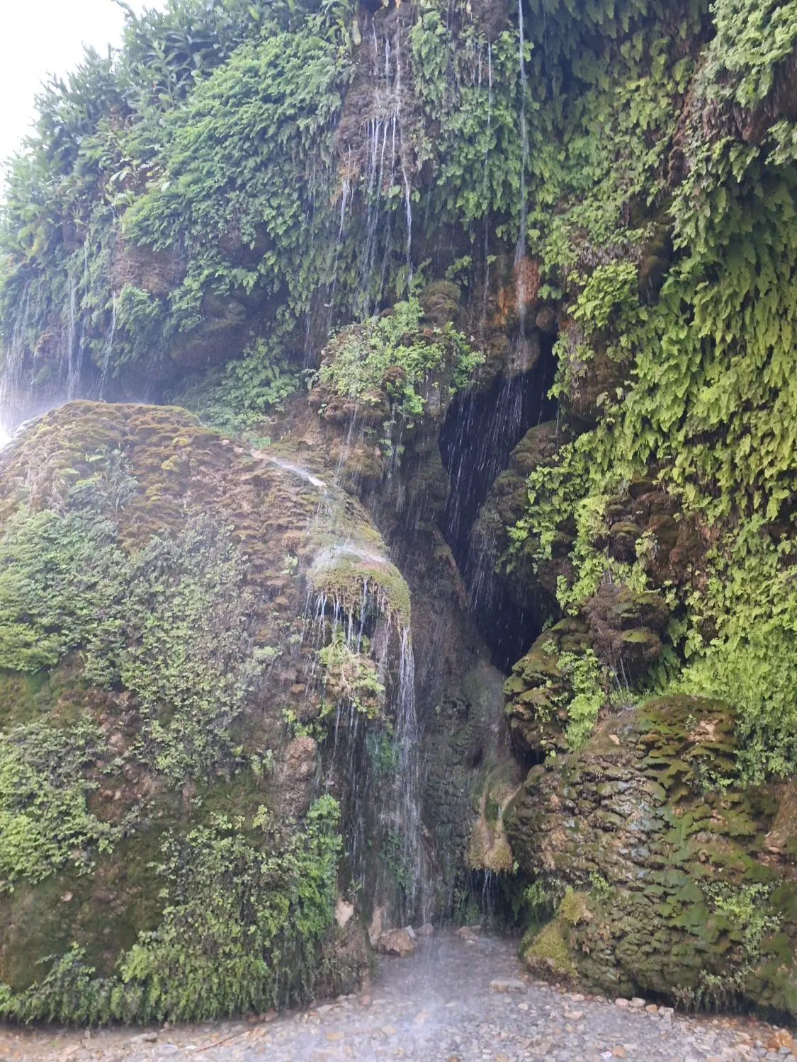 باغ اردوشاهی ترکمان دونبش بر جاده صبا