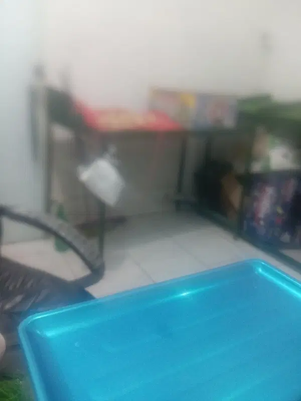 مغازه اجاره ای