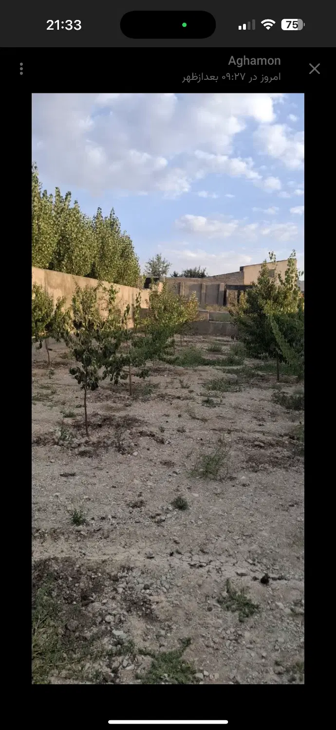 باغ دماوند هاشمک۴۵۰متر
