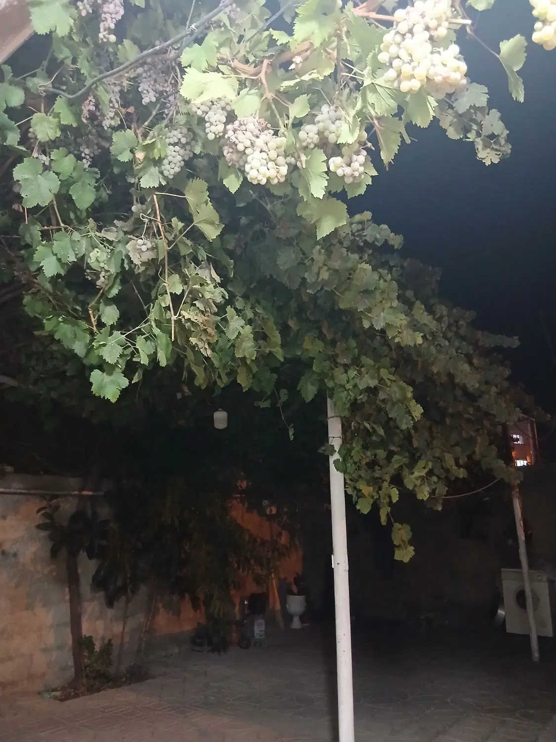 زیرزمین