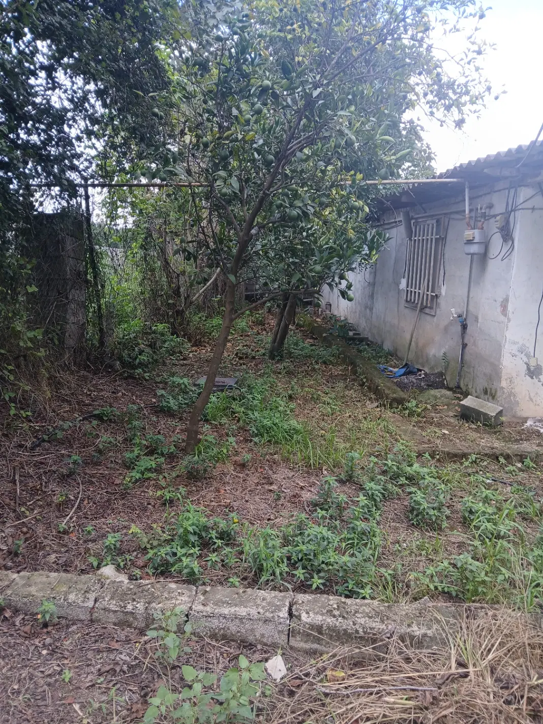 خونه باغ ۱۵۰۰ متری