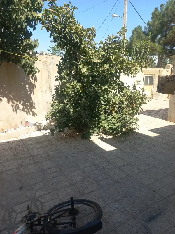 منزل اجاره ای