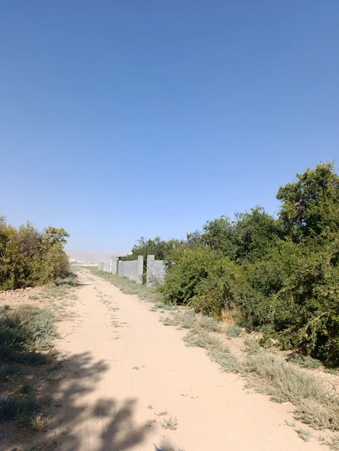 خرید و فروش باغ زمین تجاری مسکونی شهرک دودمان