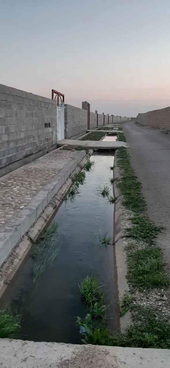 باغچه