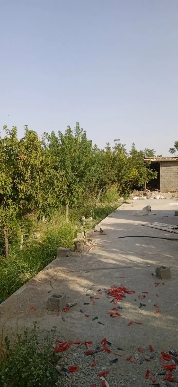 باغچه مناسب ساخت ویلا در شرایط بجران