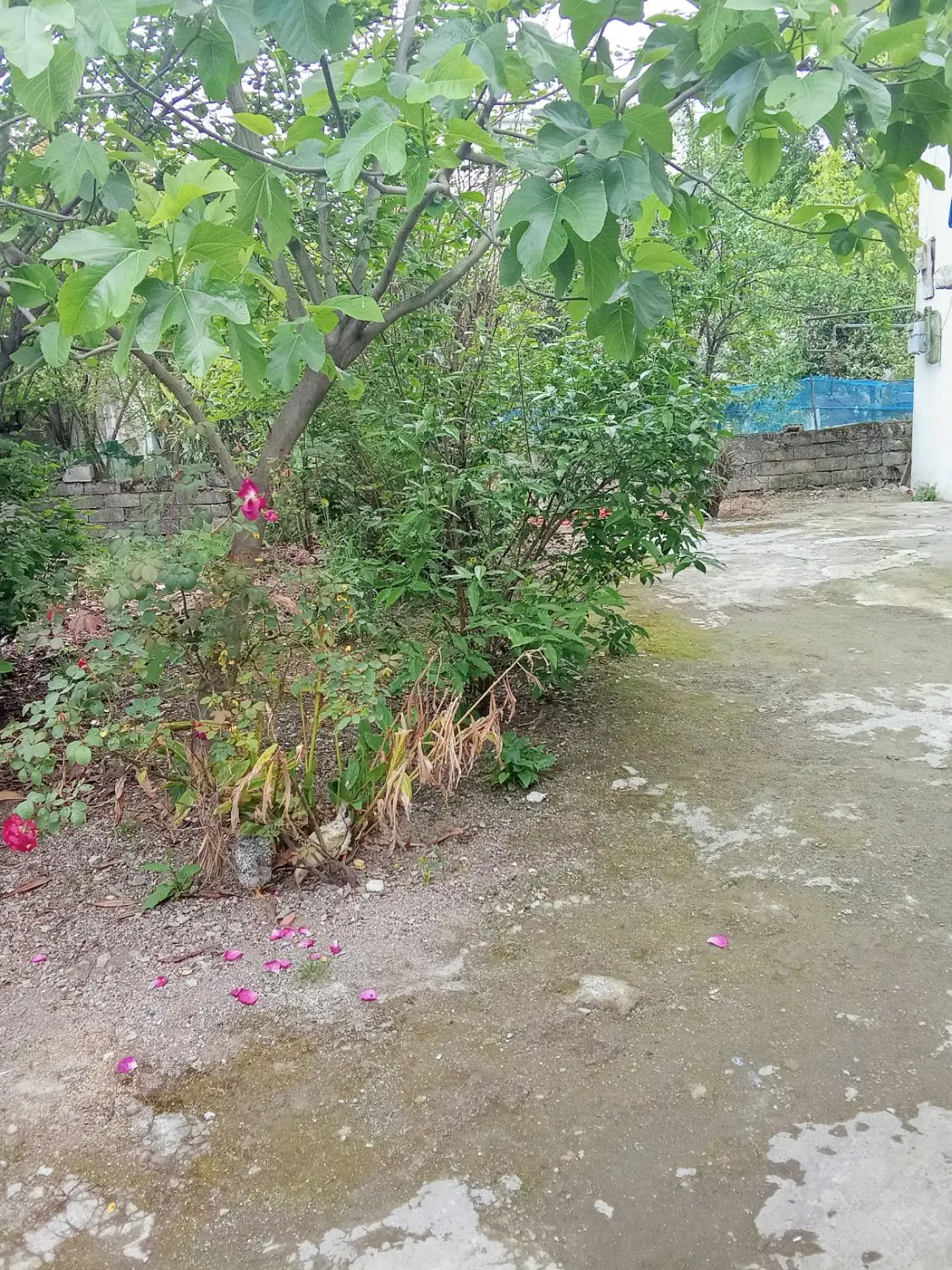 فروش خانه کلنگی _ متراژ ساخت ۳۰۰ _ بر خیابان اصلی