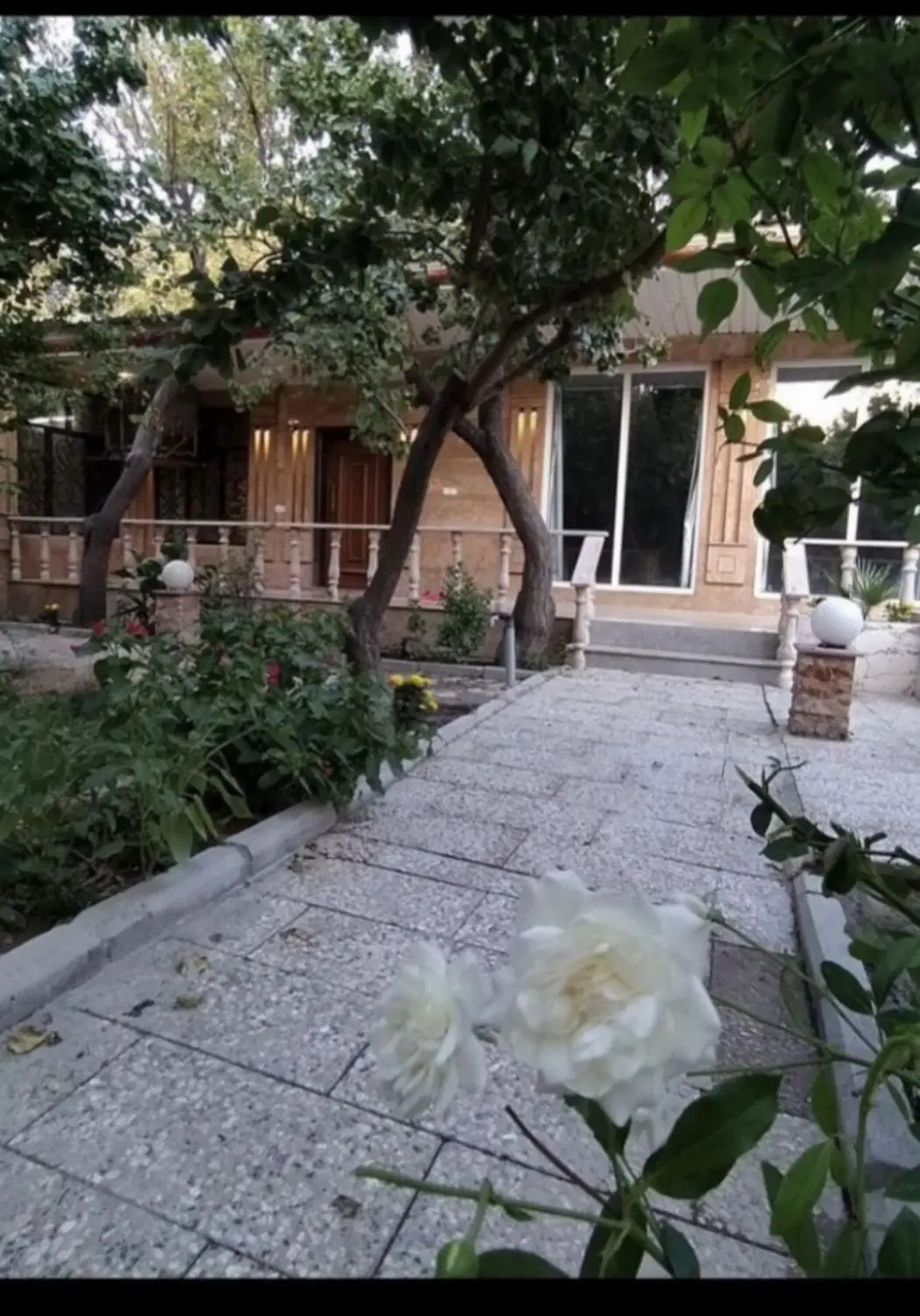 ویلا تمیز
