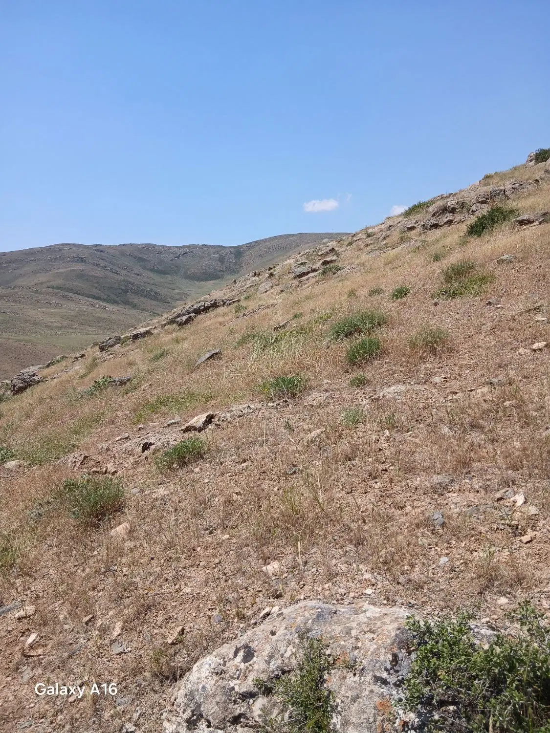 زمینهای نهضت ملی