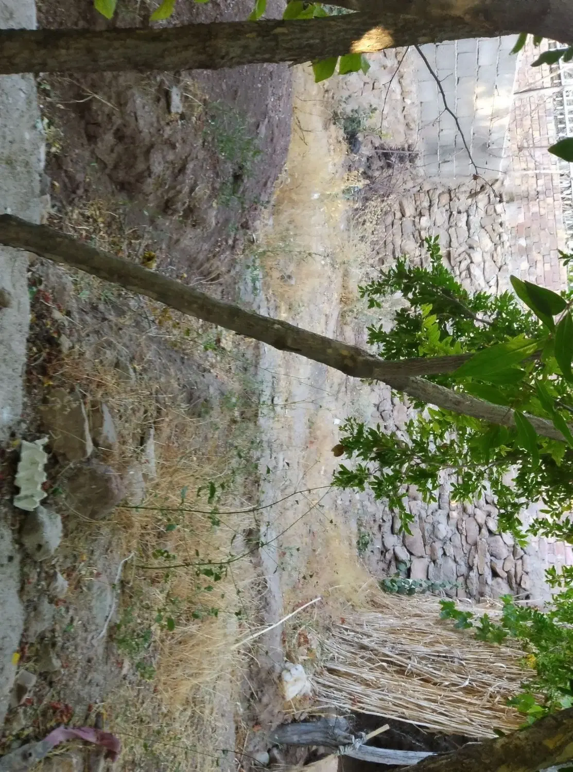 خانه باغ میوه